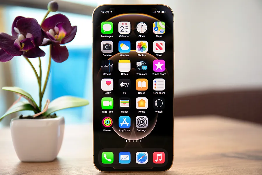 iPhone sitting next to flower