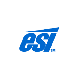 E&S International Enterprises (ESI) logo
